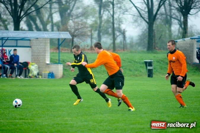 Zdjęcie w galerii na portalu naszraciborz.pl: Rogalskiego i Wojdy polowanie na Wilki wiadomości z regionu