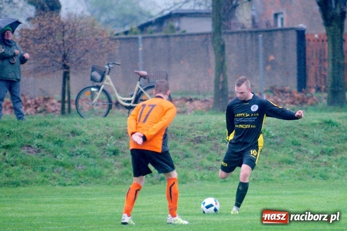 Zdjęcie w galerii na portalu naszraciborz.pl: Rogalskiego i Wojdy polowanie na Wilki wiadomości z regionu