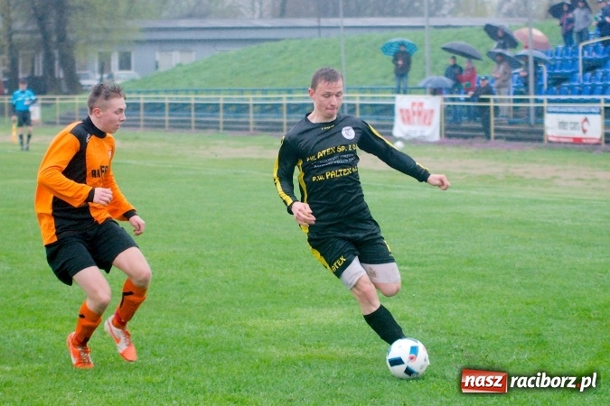 Zdjęcie w galerii na portalu naszraciborz.pl: Rogalskiego i Wojdy polowanie na Wilki wiadomości z regionu