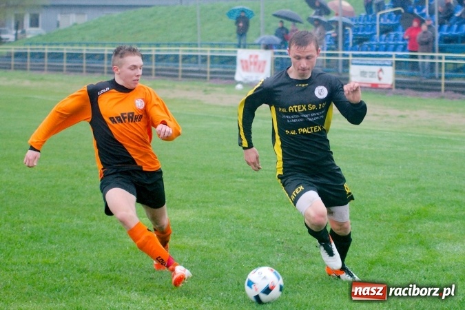 Zdjęcie w galerii na portalu naszraciborz.pl: Rogalskiego i Wojdy polowanie na Wilki wiadomości z regionu