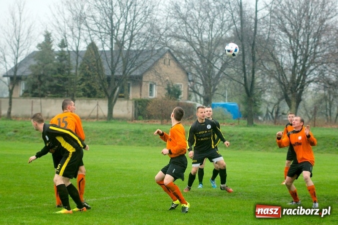 Zdjęcie w galerii na portalu naszraciborz.pl: Rogalskiego i Wojdy polowanie na Wilki wiadomości z regionu