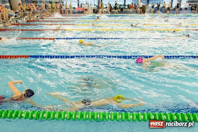 Zdjęcie w galerii na portalu naszraciborz.pl: Mistrzostwa Szkół Sportowych w pływaniu - FOTOREPORTAŻ wiadomości z regionu