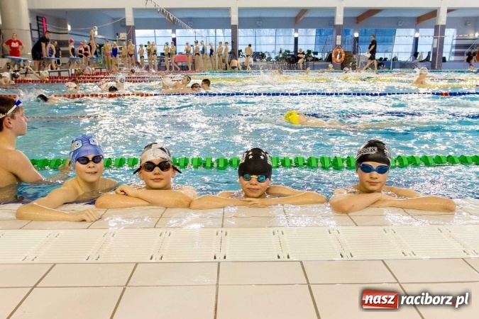 Zdjęcie w galerii na portalu naszraciborz.pl: Mistrzostwa Szkół Sportowych w pływaniu - FOTOREPORTAŻ wiadomości z regionu