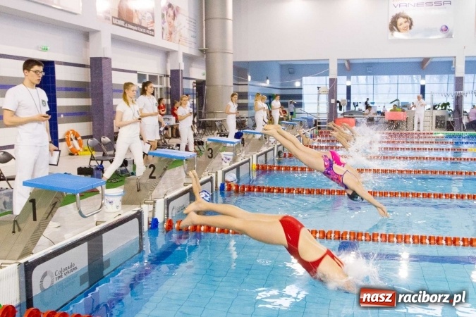 Zdjęcie w galerii na portalu naszraciborz.pl: Mistrzostwa Szkół Sportowych w pływaniu - FOTOREPORTAŻ wiadomości z regionu