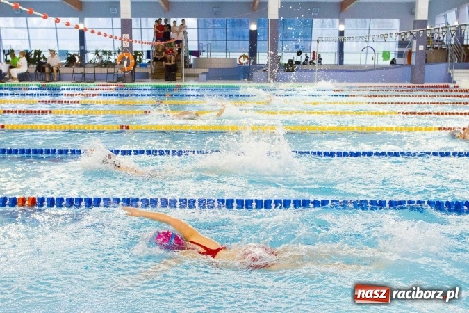Zdjęcie w galerii na portalu naszraciborz.pl: Mistrzostwa Szkół Sportowych w pływaniu - FOTOREPORTAŻ wiadomości z regionu