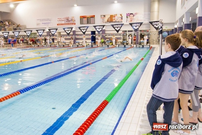 Zdjęcie w galerii na portalu naszraciborz.pl: Mistrzostwa Szkół Sportowych w pływaniu - FOTOREPORTAŻ wiadomości z regionu