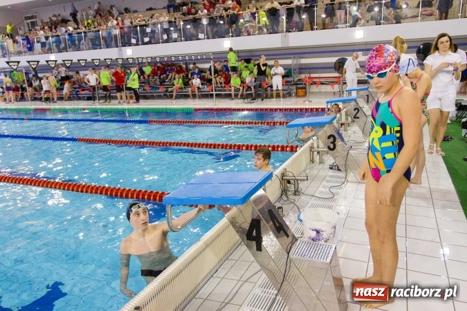Zdjęcie w galerii na portalu naszraciborz.pl: Mistrzostwa Szkół Sportowych w pływaniu - FOTOREPORTAŻ wiadomości z regionu