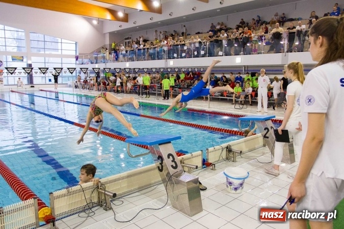 Zdjęcie w galerii na portalu naszraciborz.pl: Mistrzostwa Szkół Sportowych w pływaniu - FOTOREPORTAŻ wiadomości z regionu