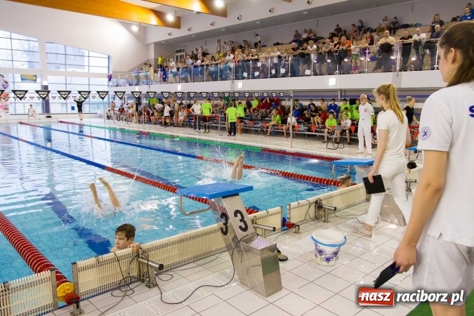 Zdjęcie w galerii na portalu naszraciborz.pl: Mistrzostwa Szkół Sportowych w pływaniu - FOTOREPORTAŻ wiadomości z regionu