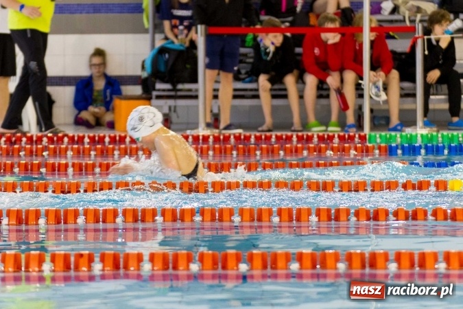 Zdjęcie w galerii na portalu naszraciborz.pl: Mistrzostwa Szkół Sportowych w pływaniu - FOTOREPORTAŻ wiadomości z regionu