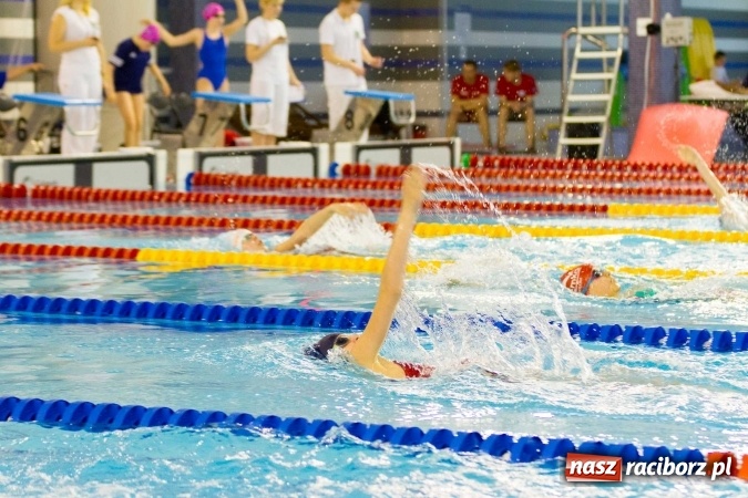 Zdjęcie w galerii na portalu naszraciborz.pl: Mistrzostwa Szkół Sportowych w pływaniu - FOTOREPORTAŻ wiadomości z regionu