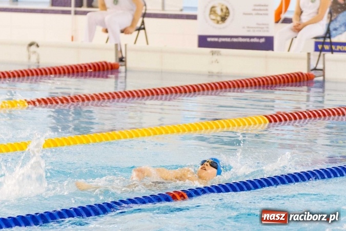 Zdjęcie w galerii na portalu naszraciborz.pl: Mistrzostwa Szkół Sportowych w pływaniu - FOTOREPORTAŻ wiadomości z regionu