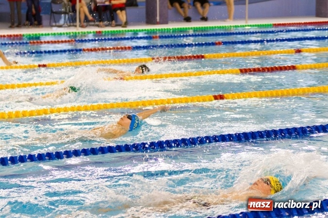 Zdjęcie w galerii na portalu naszraciborz.pl: Mistrzostwa Szkół Sportowych w pływaniu - FOTOREPORTAŻ wiadomości z regionu