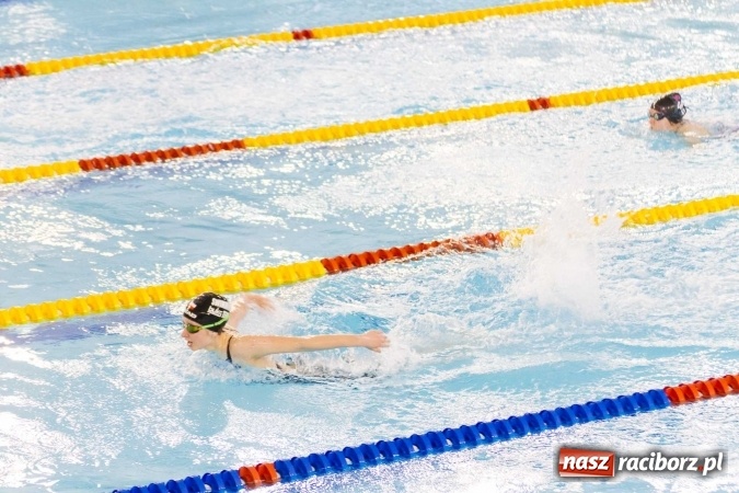 Zdjęcie w galerii na portalu naszraciborz.pl: Mistrzostwa Szkół Sportowych w pływaniu - FOTOREPORTAŻ wiadomości z regionu