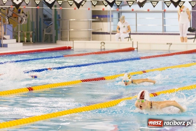 Zdjęcie w galerii na portalu naszraciborz.pl: Mistrzostwa Szkół Sportowych w pływaniu - FOTOREPORTAŻ wiadomości z regionu