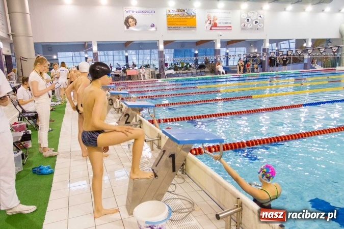 Zdjęcie w galerii na portalu naszraciborz.pl: Mistrzostwa Szkół Sportowych w pływaniu - FOTOREPORTAŻ wiadomości z regionu