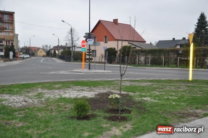 Zdjęcie w galerii na portalu naszraciborz.pl: Nasadzenia krzewów na Osiedlu w Kuźni Raciborskiej  wiadomości z regionu