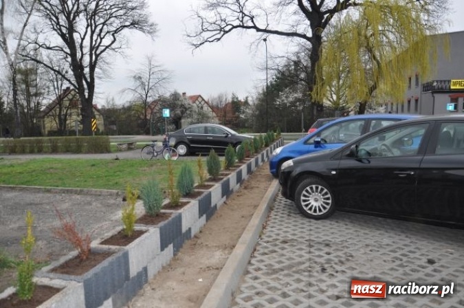 Zdjęcie w galerii na portalu naszraciborz.pl: Nasadzenia krzewów na Osiedlu w Kuźni Raciborskiej  wiadomości z regionu