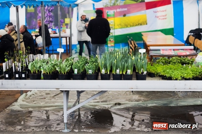 Zdjęcie w galerii na portalu naszraciborz.pl: Prelekcja w Agro Markecie przyciągnęła miłośników ogrodnictwa wiadomości z regionu