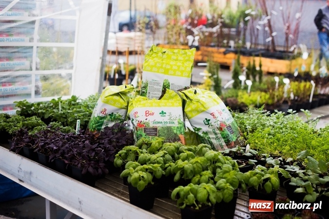 Zdjęcie w galerii na portalu naszraciborz.pl: Prelekcja w Agro Markecie przyciągnęła miłośników ogrodnictwa wiadomości z regionu