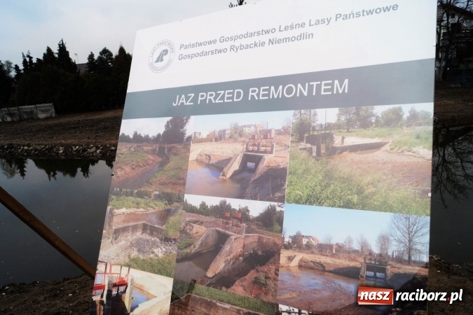 Zdjęcie w galerii na portalu naszraciborz.pl: W Nędzy oficjalnie otwarto jaz na rzece Suminie wiadomości z regionu