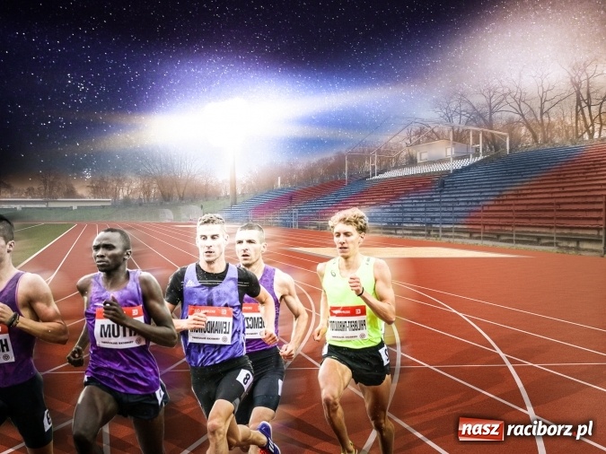 Zdjęcie w galerii na portalu naszraciborz.pl: Królowa sportu w godnych warunkach. Konsultacje w Urzędzie Miasta wiadomości z regionu