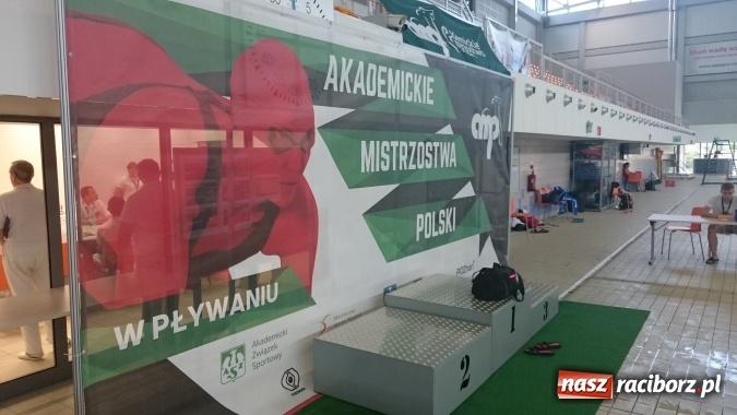 Zdjęcie w galerii na portalu naszraciborz.pl: Akademickie Mistrzostwa Polski: Sukcesy pływaków raciborskiej PWSZ wiadomości z regionu