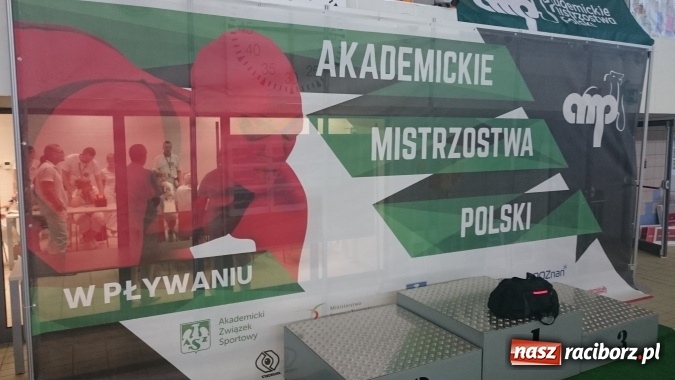 Zdjęcie w galerii na portalu naszraciborz.pl: Akademickie Mistrzostwa Polski: Sukcesy pływaków raciborskiej PWSZ wiadomości z regionu
