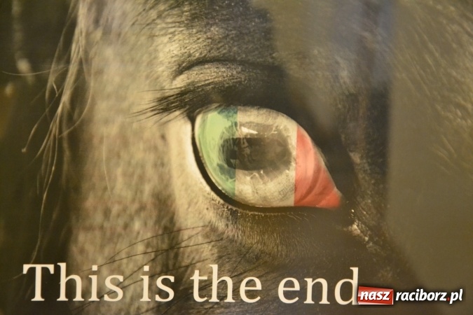 Zdjęcie w galerii na portalu naszraciborz.pl: Życie nie może odbyć się bez Ciebie – wystawa plakatu uczniów Ekonomika na zamku  wiadomości z regionu