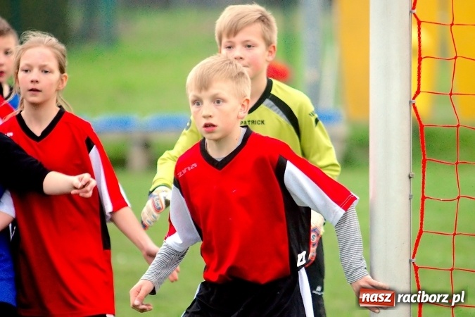 Zdjęcie w galerii na portalu naszraciborz.pl: Młodziki: Derby Raciborza dla Studziennej wiadomości z regionu