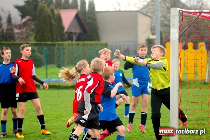 Zdjęcie w galerii na portalu naszraciborz.pl: Młodziki: Derby Raciborza dla Studziennej wiadomości z regionu