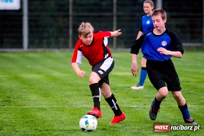 Zdjęcie w galerii na portalu naszraciborz.pl: Młodziki: Derby Raciborza dla Studziennej wiadomości z regionu