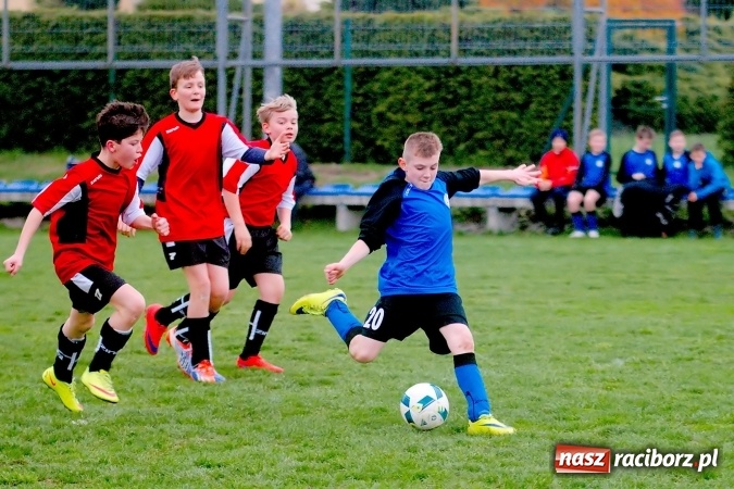 Zdjęcie w galerii na portalu naszraciborz.pl: Młodziki: Derby Raciborza dla Studziennej wiadomości z regionu