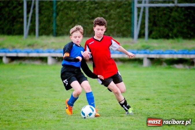 Zdjęcie w galerii na portalu naszraciborz.pl: Młodziki: Derby Raciborza dla Studziennej wiadomości z regionu