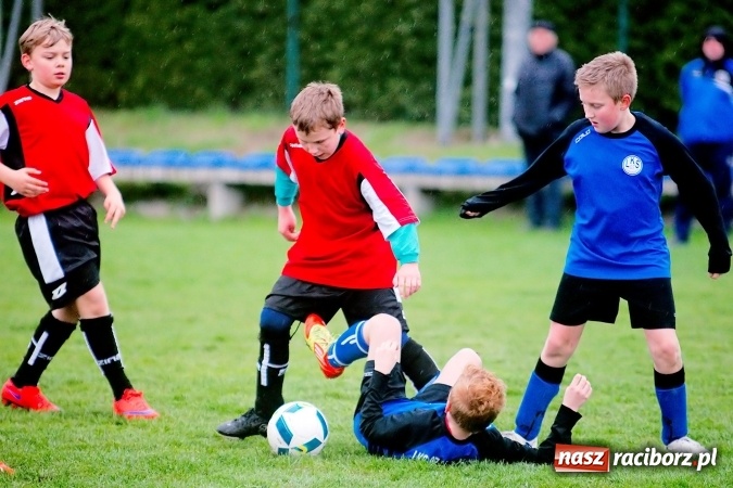 Zdjęcie w galerii na portalu naszraciborz.pl: Młodziki: Derby Raciborza dla Studziennej wiadomości z regionu