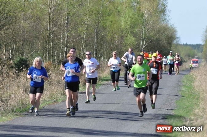 Zdjęcie w galerii na portalu naszraciborz.pl: I Kuźniański Półmaraton Leśny - zdecydowana wygrana Ukraińca wiadomości z regionu