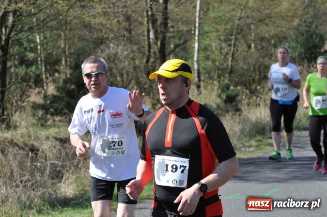 Zdjęcie w galerii na portalu naszraciborz.pl: I Kuźniański Półmaraton Leśny - zdecydowana wygrana Ukraińca wiadomości z regionu