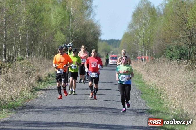 Zdjęcie w galerii na portalu naszraciborz.pl: I Kuźniański Półmaraton Leśny - zdecydowana wygrana Ukraińca wiadomości z regionu