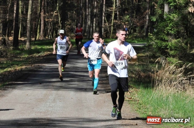 Zdjęcie w galerii na portalu naszraciborz.pl: I Kuźniański Półmaraton Leśny - zdecydowana wygrana Ukraińca wiadomości z regionu