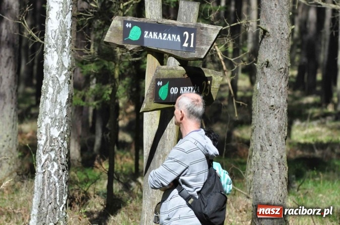 Zdjęcie w galerii na portalu naszraciborz.pl: I Kuźniański Półmaraton Leśny - zdecydowana wygrana Ukraińca wiadomości z regionu