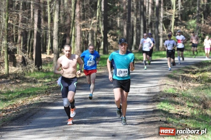 Zdjęcie w galerii na portalu naszraciborz.pl: I Kuźniański Półmaraton Leśny - zdecydowana wygrana Ukraińca wiadomości z regionu