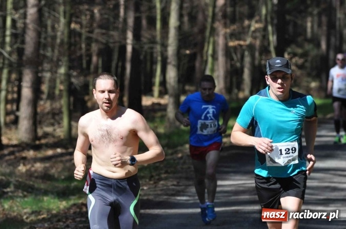 Zdjęcie w galerii na portalu naszraciborz.pl: I Kuźniański Półmaraton Leśny - zdecydowana wygrana Ukraińca wiadomości z regionu