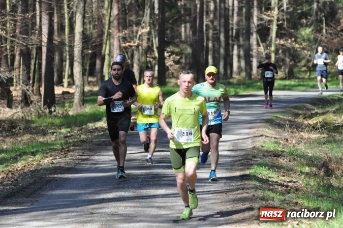 Zdjęcie w galerii na portalu naszraciborz.pl: I Kuźniański Półmaraton Leśny - zdecydowana wygrana Ukraińca wiadomości z regionu