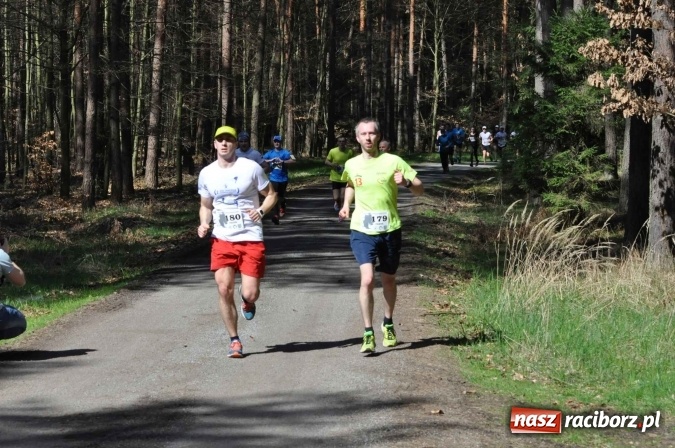 Zdjęcie w galerii na portalu naszraciborz.pl: I Kuźniański Półmaraton Leśny - zdecydowana wygrana Ukraińca wiadomości z regionu
