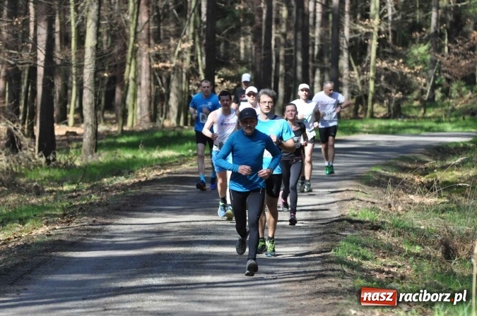 Zdjęcie w galerii na portalu naszraciborz.pl: I Kuźniański Półmaraton Leśny - zdecydowana wygrana Ukraińca wiadomości z regionu