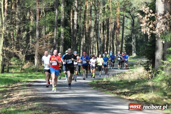 Zdjęcie w galerii na portalu naszraciborz.pl: I Kuźniański Półmaraton Leśny - zdecydowana wygrana Ukraińca wiadomości z regionu