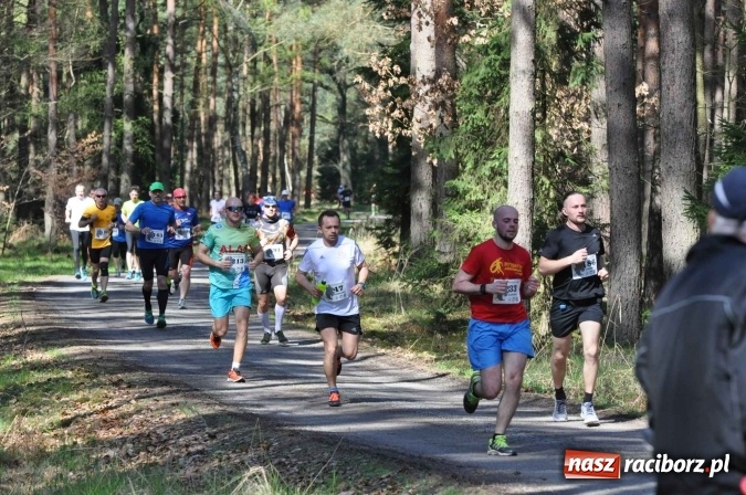Zdjęcie w galerii na portalu naszraciborz.pl: I Kuźniański Półmaraton Leśny - zdecydowana wygrana Ukraińca wiadomości z regionu
