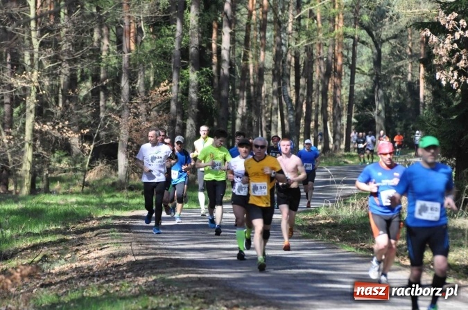 Zdjęcie w galerii na portalu naszraciborz.pl: I Kuźniański Półmaraton Leśny - zdecydowana wygrana Ukraińca wiadomości z regionu