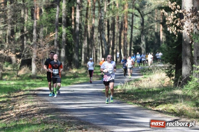 Zdjęcie w galerii na portalu naszraciborz.pl: I Kuźniański Półmaraton Leśny - zdecydowana wygrana Ukraińca wiadomości z regionu