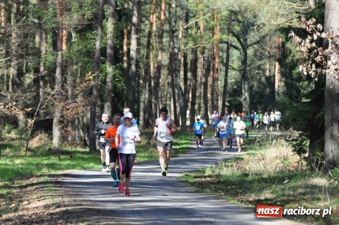 Zdjęcie w galerii na portalu naszraciborz.pl: I Kuźniański Półmaraton Leśny - zdecydowana wygrana Ukraińca wiadomości z regionu